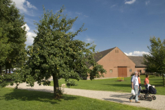 2008-Apfelbaum-Dorfplatz