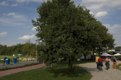 2008-Dorfplatz-2
