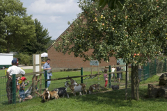 2008-Ziegenwiese