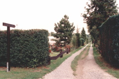 1994-Sperlingsweg-hohe-Baeume