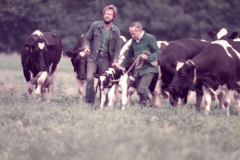1986-Leo-und-Willi-auf-der-Weide