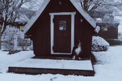 2019-Troll-im-Schnee