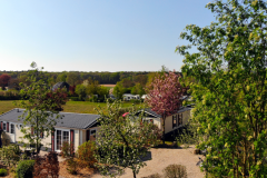 1_Chalets-bei-bluehenden-Baeumen-1366x768