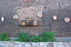 2009-Bienenwand-Faerberbeet