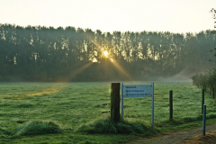2014_natur_fgx