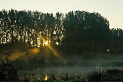 2014_teich_natur_fgx-3