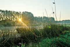 2014_teich_natur_fgx-4
