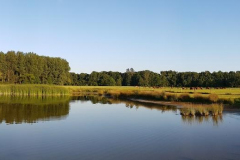2017_teich_natur_panorama-2