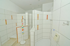2014_sanif_badk_fgx-2