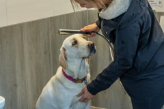 2024-Sanitaerhaus-Meisenweg-Hundedusche