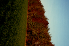1995-Feld-am-Buchenwald-heute-touri-Bereich