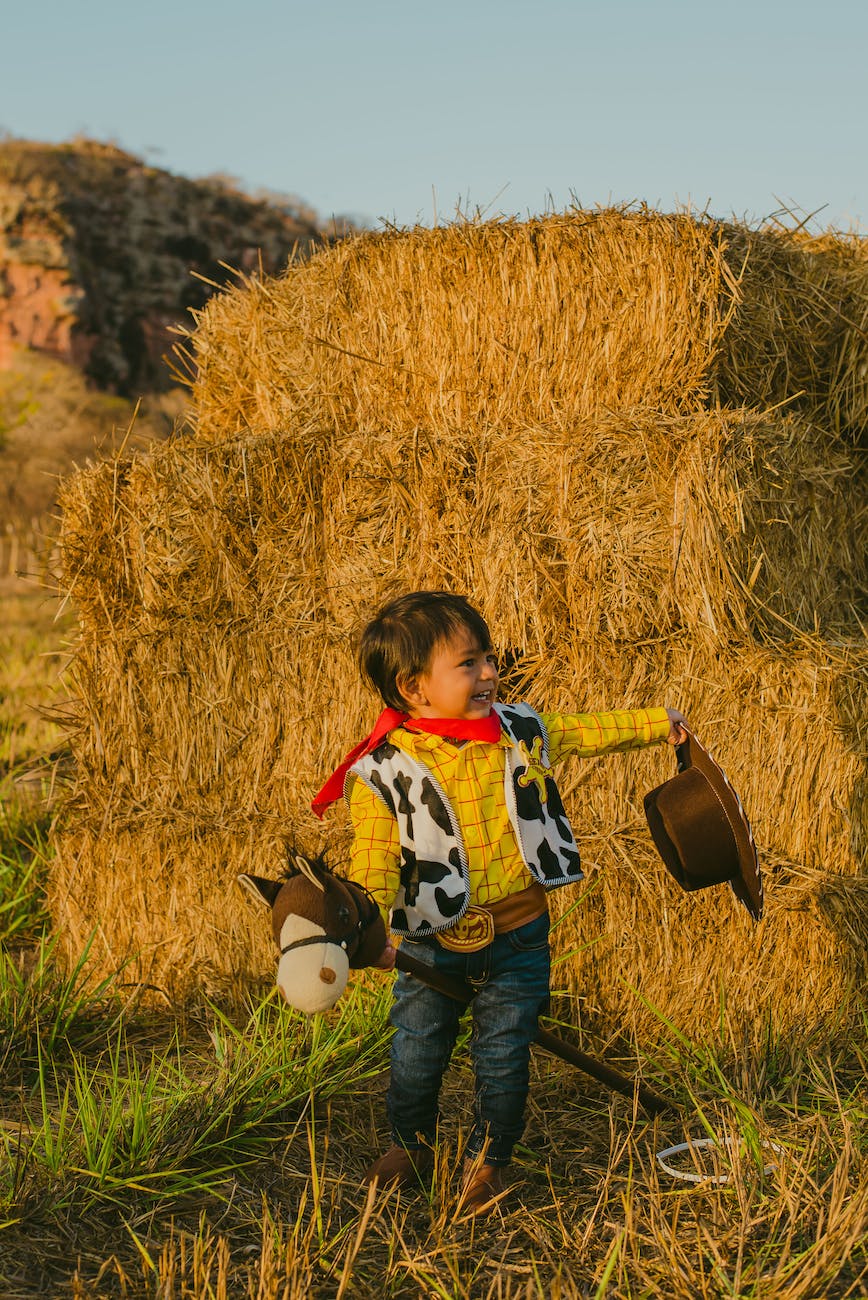 cute boy wearing woody costume standing near haystack