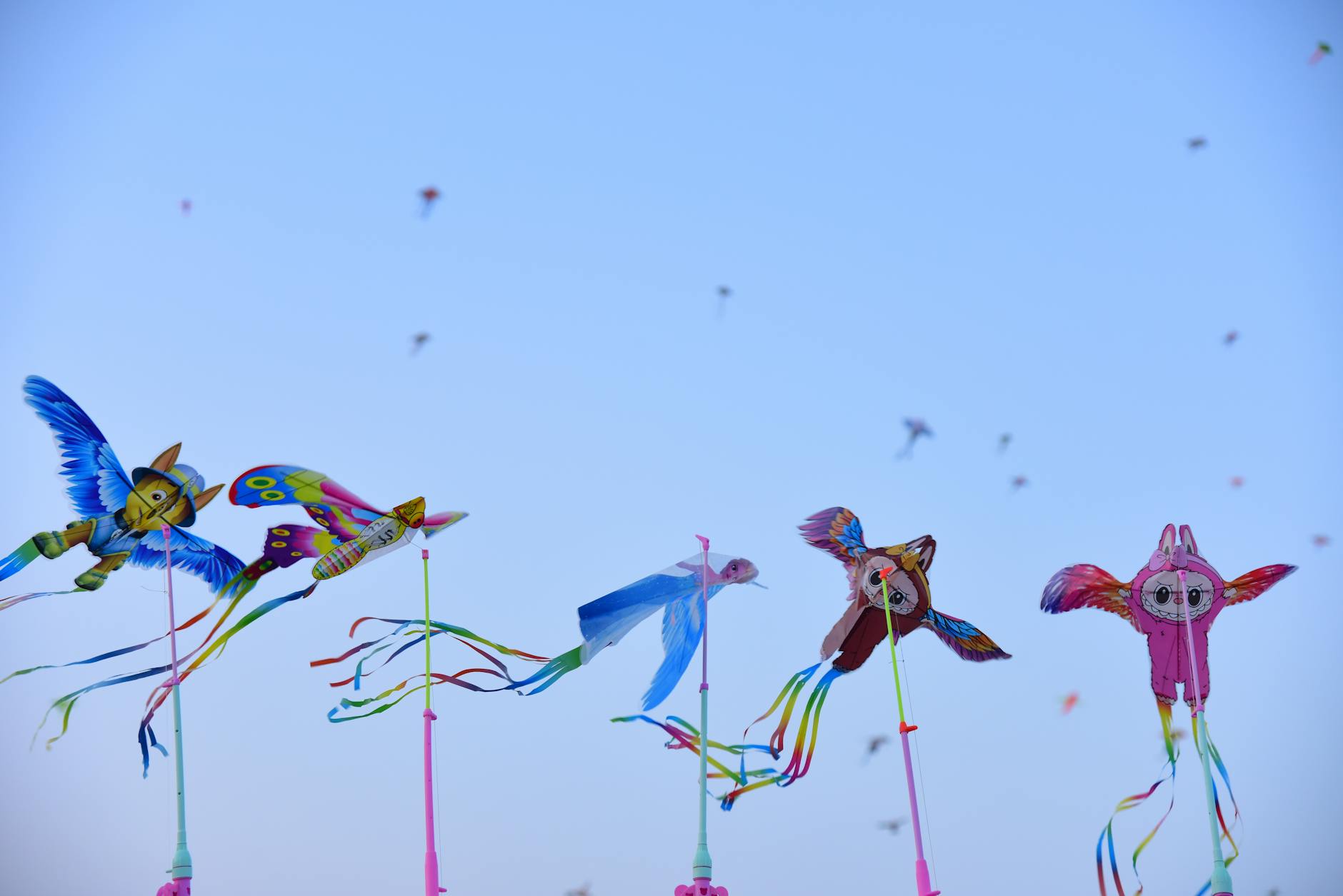 vibrant kite festival with colorful owl kites