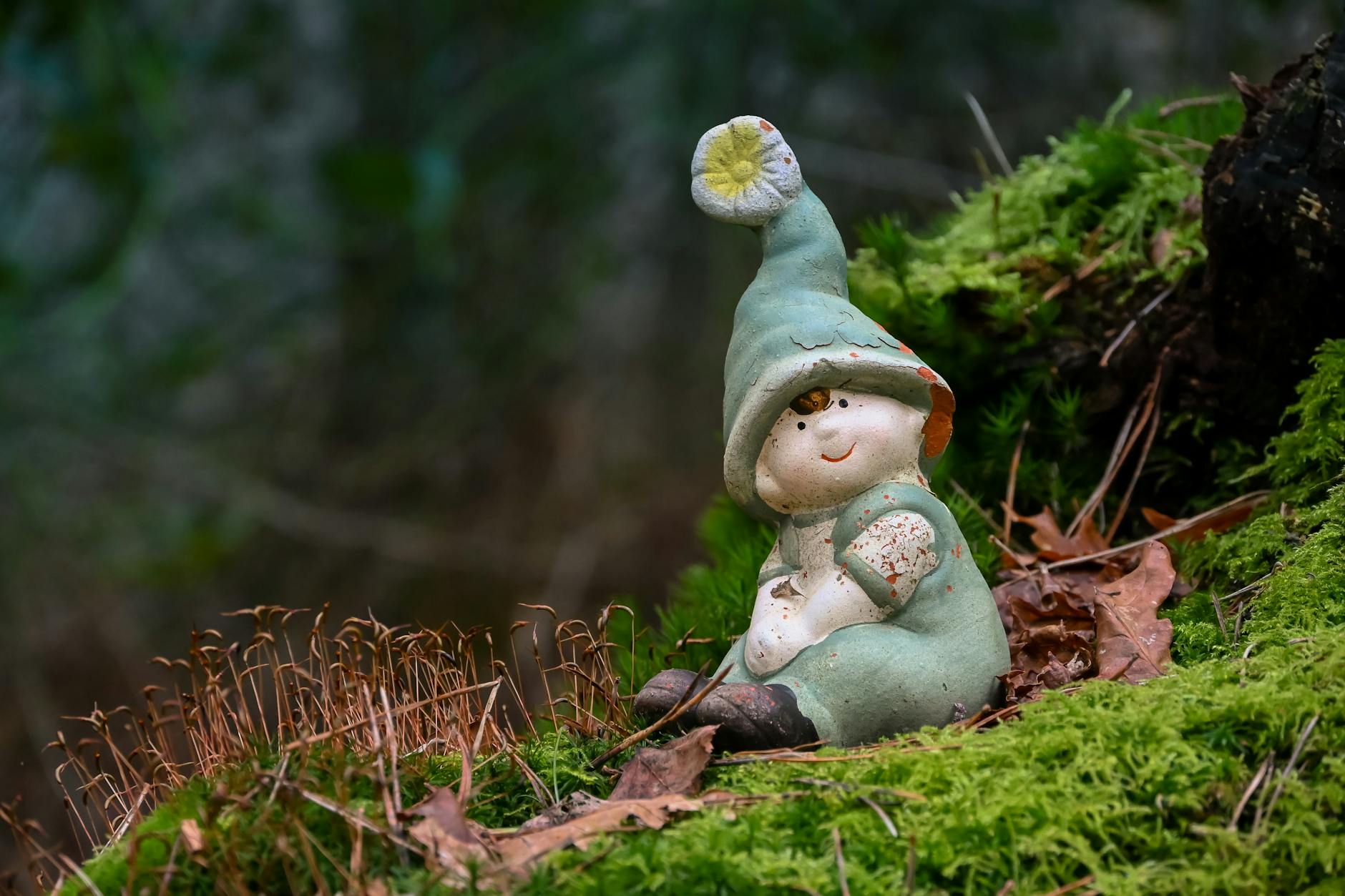charming elf figurine in mossy forest setting